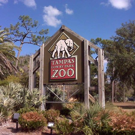 4Bd 2 Mi To Usf Free Pool + 24 Hour Gym Vila Tampa Exterior foto