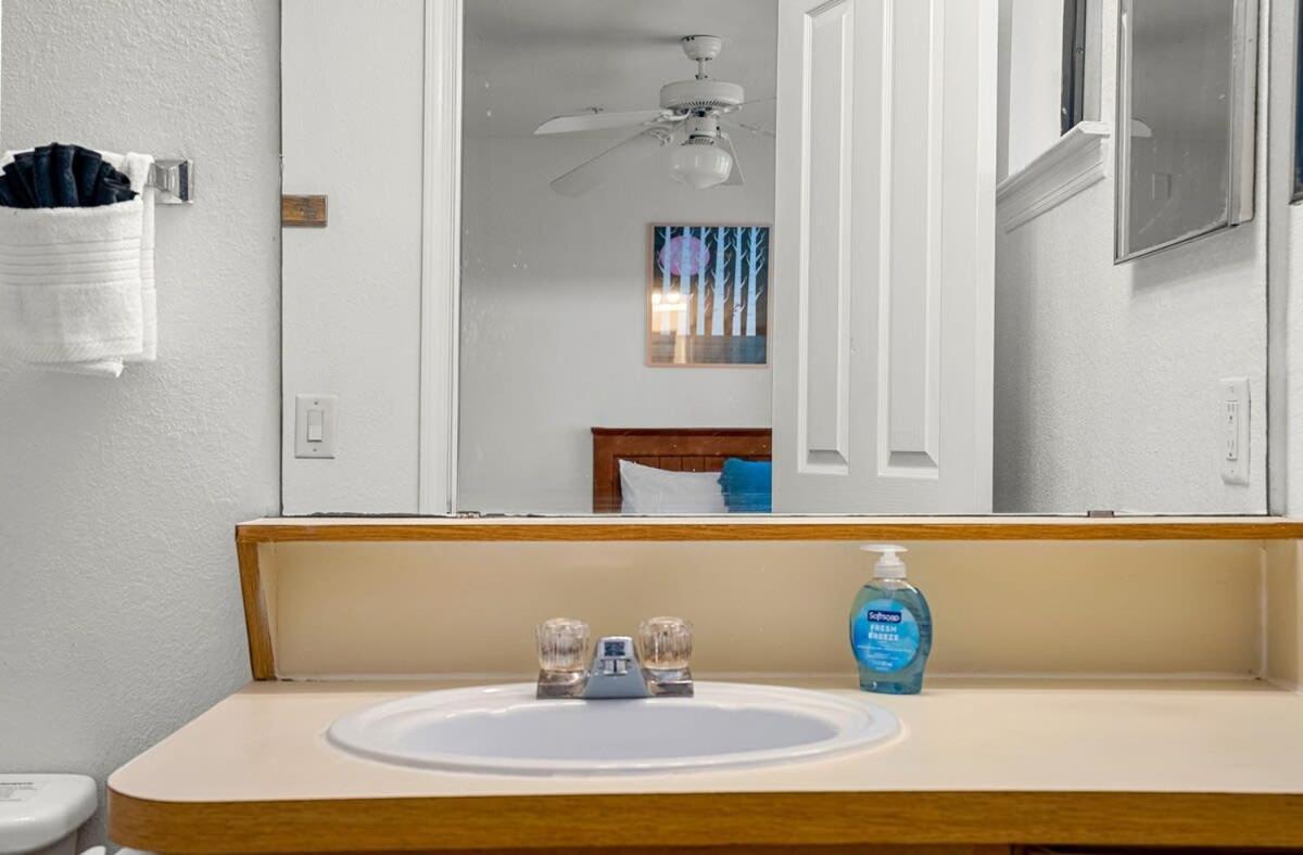 4Bd 2 Mi To Usf Free Pool + 24 Hour Gym Vila Tampa Exterior foto