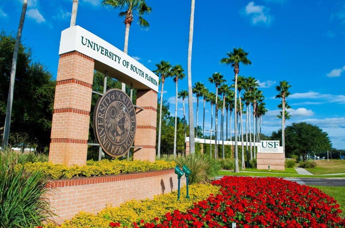 4Bd 2 Mi To Usf Free Pool + 24 Hour Gym Vila Tampa Exterior foto
