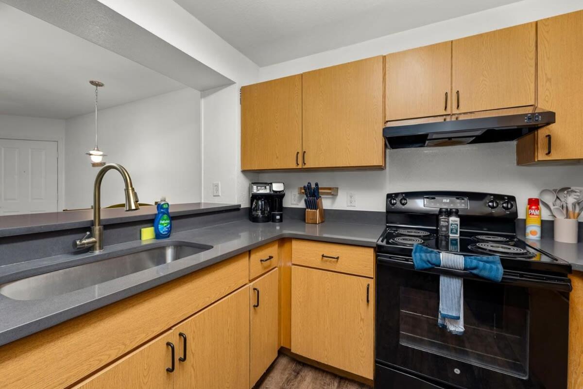 4Bd 2 Mi To Usf Free Pool + 24 Hour Gym Vila Tampa Exterior foto