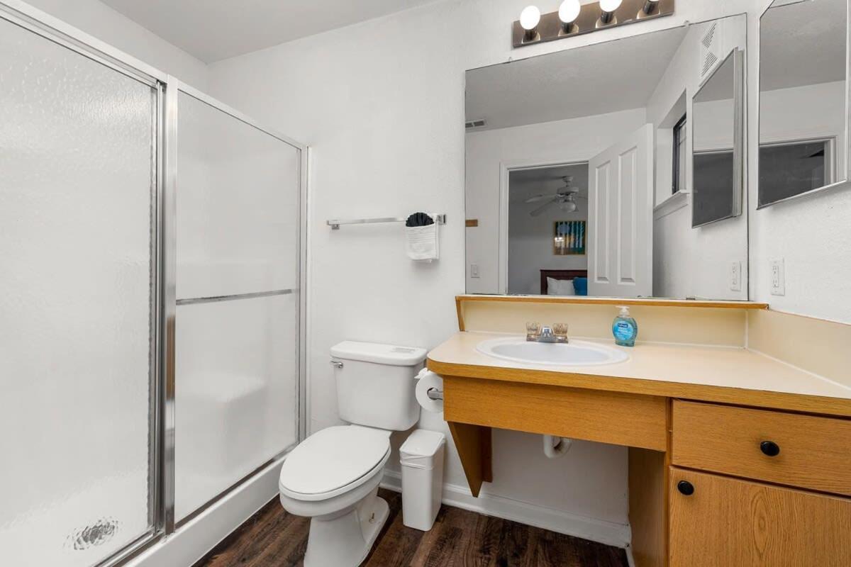 4Bd 2 Mi To Usf Free Pool + 24 Hour Gym Vila Tampa Exterior foto