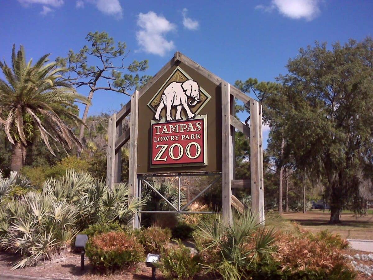 4Bd 2 Mi To Usf Free Pool + 24 Hour Gym Vila Tampa Exterior foto