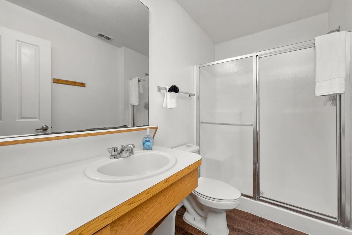 4Bd 2 Mi To Usf Free Pool + 24 Hour Gym Vila Tampa Exterior foto