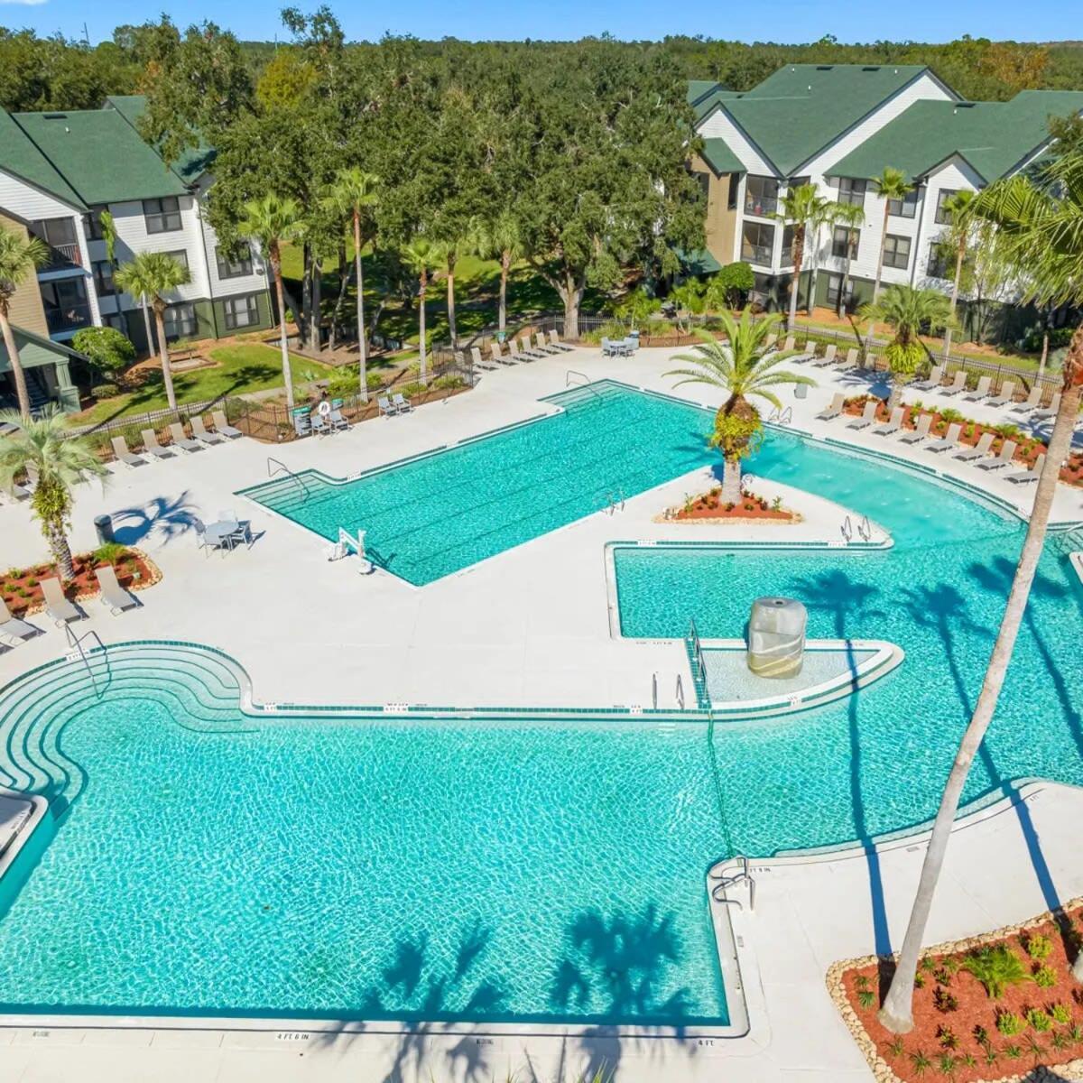 4Bd 2 Mi To Usf Free Pool + 24 Hour Gym Vila Tampa Exterior foto